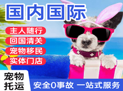 抚远航空邮寄国际宠物托运 【国